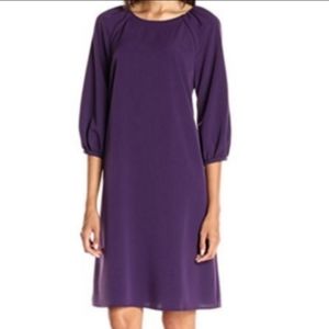 Lark & Ro purple Raglan 3/4 Sleeve Shift Dress